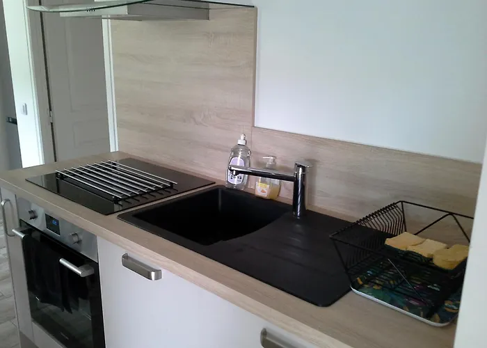 Апартаменты Le Gros Chene *